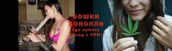 крисы Осташков