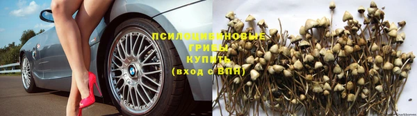 трава Армянск