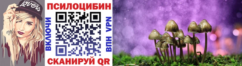 Галлюциногенные грибы Magic Shrooms  Заинск 